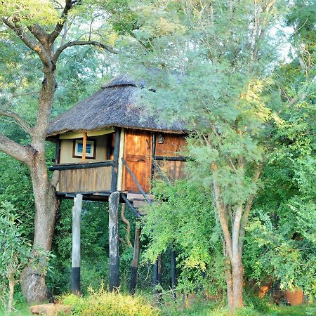 Ivory Lodge Dete Eksteriør bilde