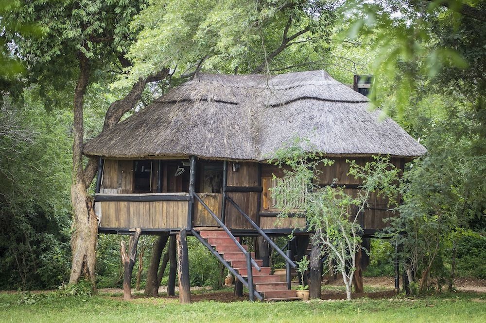 Ivory Lodge Dete Eksteriør bilde
