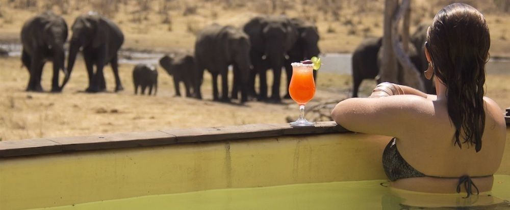 Ivory Lodge Dete Eksteriør bilde