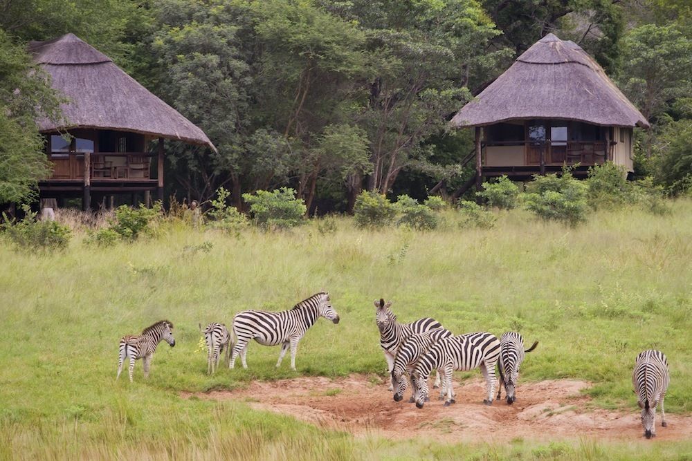 Ivory Lodge Dete Eksteriør bilde