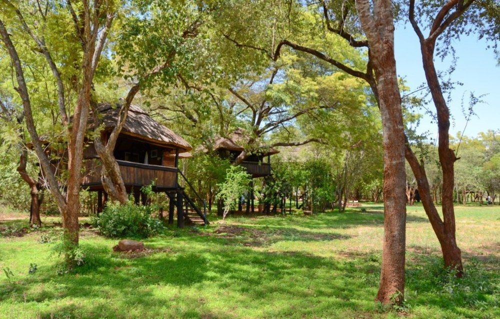 Ivory Lodge Dete Eksteriør bilde