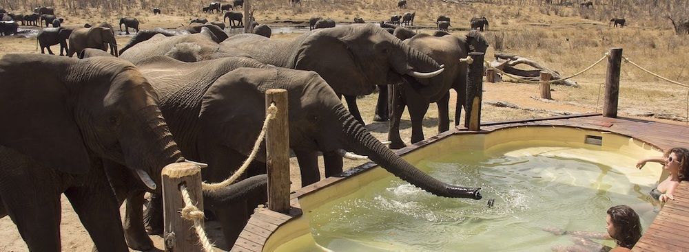 Ivory Lodge Dete Eksteriør bilde