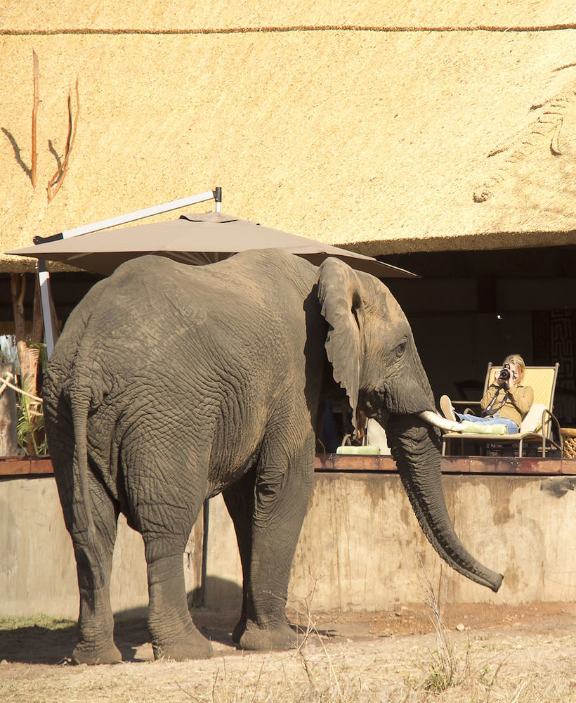 Ivory Lodge Dete Eksteriør bilde