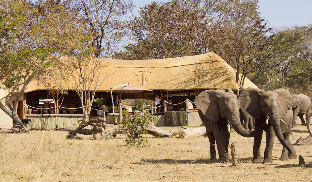Ivory Lodge Dete Eksteriør bilde