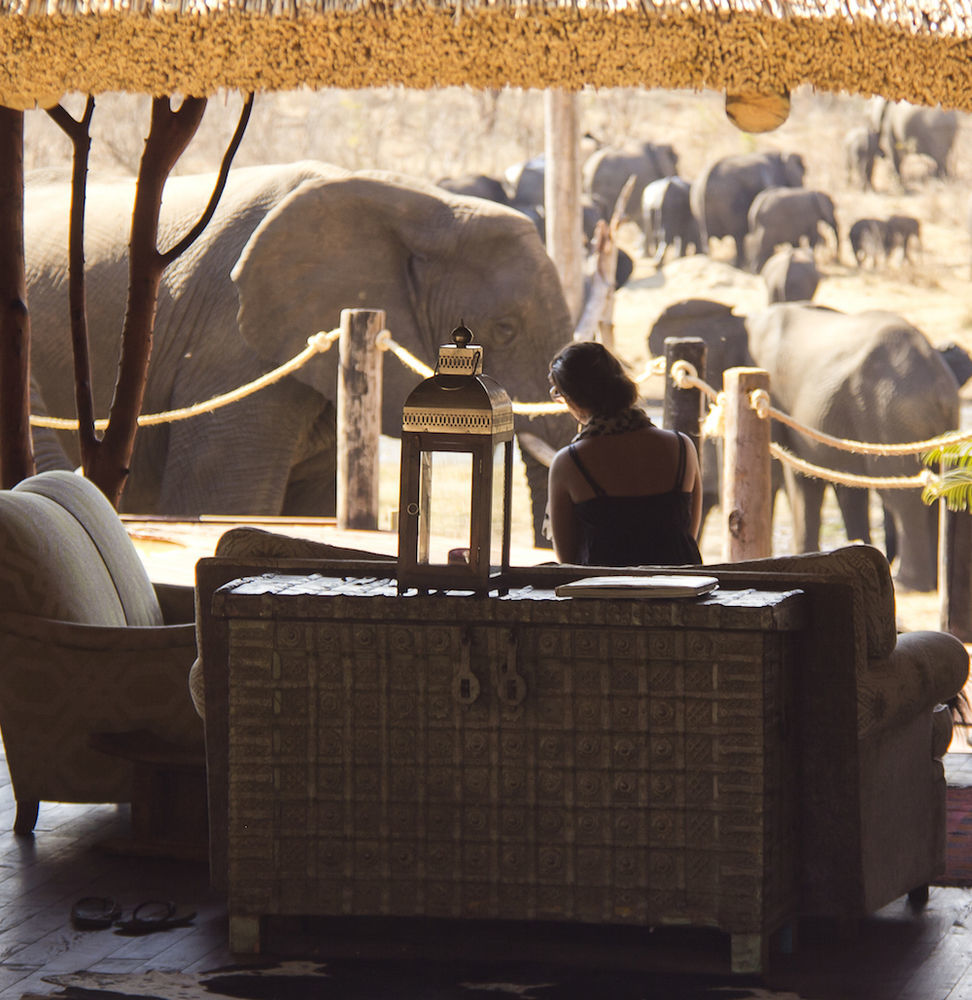 Ivory Lodge Dete Eksteriør bilde