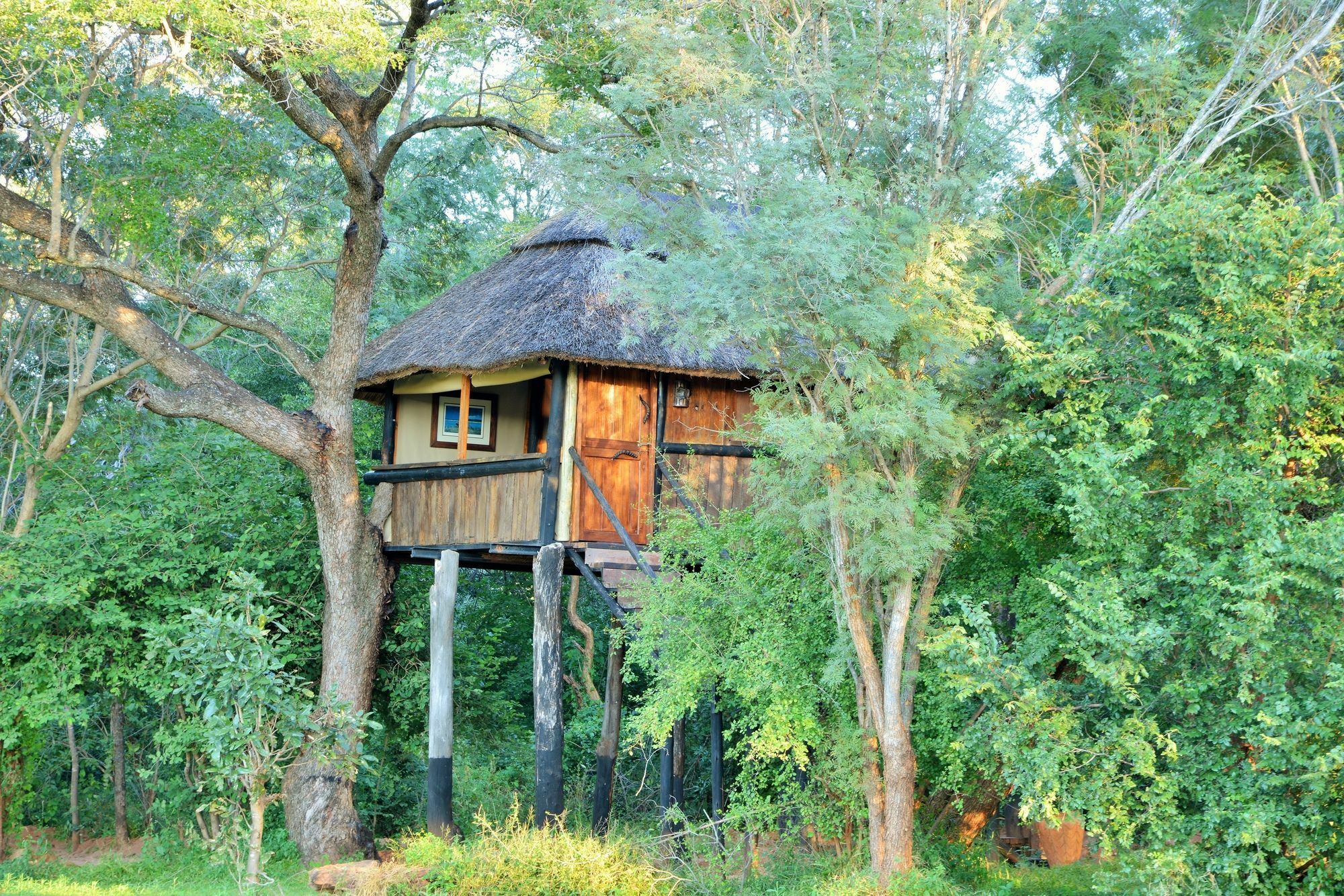 Ivory Lodge Dete Eksteriør bilde